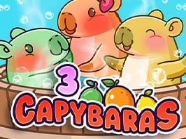3 Capybaras
